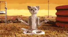 Meditating cat creature