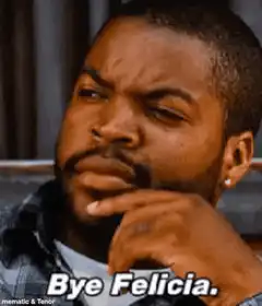 Ice Cube Bye Felicia