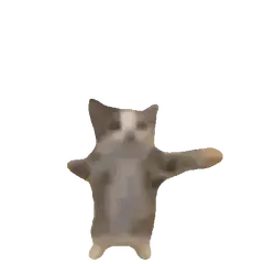 Dancing cat on white background