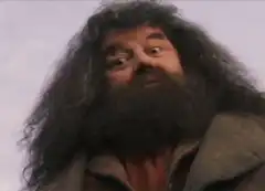 Hagrid's hair covers his face