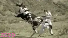 Martial artist kicks cow