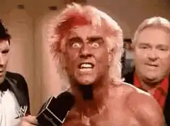 Ric Flair shocked face reaction