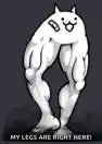 Muscular Cat Legs