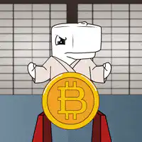 Bitcoin Halving karate chop