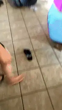 man runs up stairs after dog