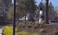 Woman in white dress dancing on a hill