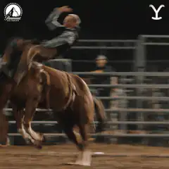 Donald Trump riding a bucking horse