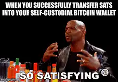 So Satisfying Bitcoin Wallet Transfer