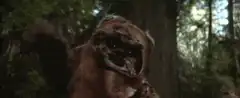 Ewok dancing in forest