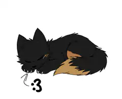 sleeping black fox with :3
