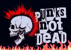 Punks Not Dead skull and flames