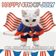 Cat in Captain America costume with American flag wings