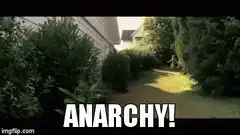 Anarchy! Guy Running Through Bushes