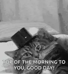 Cat tipping top hat