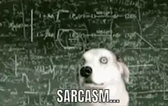 Confused Dog Sarcasm