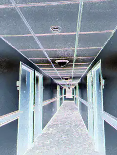 long dark hallway with doors