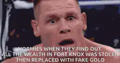 John Cena Normies Fort Knox