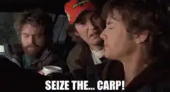 Seize the Carp meme