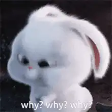 White rabbit why why why