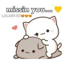 Cute cats hugging missin you