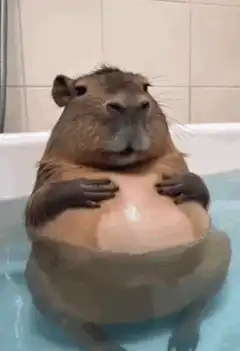 Capybara relaxing in a bathtub