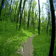 glitchy forest path animation