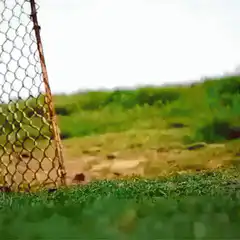 Chicken waving hello