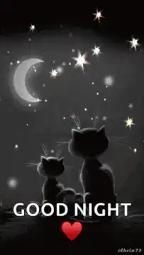 Cats looking at stars good night