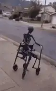 Skeleton walking with a walker