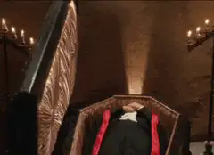 Dracula wakes up in coffin