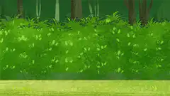 Piggy army marching in forest