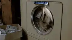 washing machine spinning money