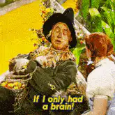 Scarecrow falls over If I only had a brain