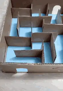 hamster cardboard maze