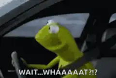 Kermit the Frog Wait Whaaat