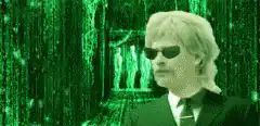 David Hasselhoff as Neo in The Matrix