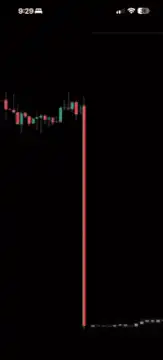 Woman reacts to stock chart crash and recovery