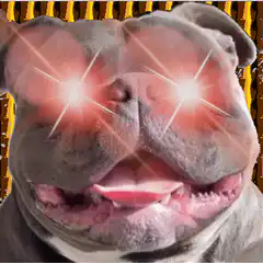 Bulldog with glowing red eyes