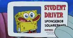 SpongeBob Student Driver License