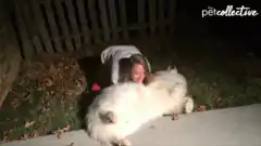Girl hugging fluffy white dog