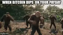 Dancing Apes Bitcoin Dip