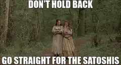 Don't Hold Back Go Straight For The Satoshis