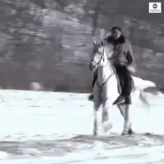 Man riding white horse in snow