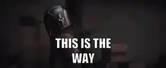 The Mandalorian This Is The Way