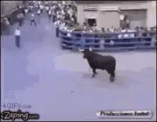 Man hugs a bull in the street