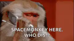 Spacemonkey Here Who Dis