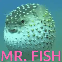 Mr. Fish pufferfish