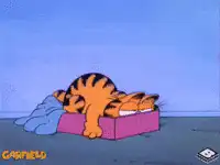 Garfield sleeping in a box