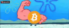 SpongeBob muscular arms thank you bitcoin