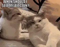 cat when should i sell my bitcoin
